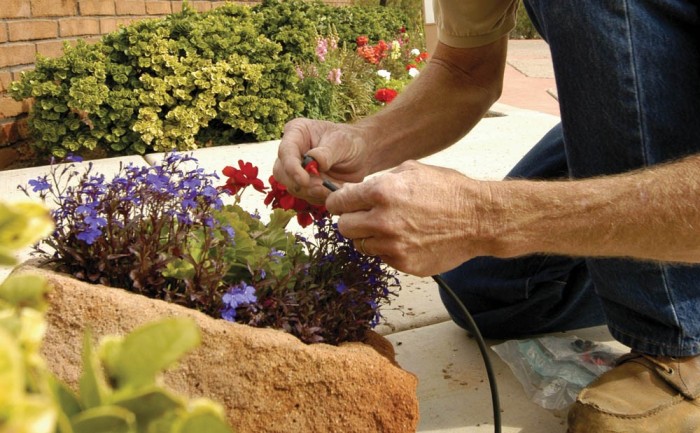 25 Ways to Save Water & Your Landscaping During Our Historic Drought
