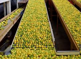 When life hands you lemons… it’s likely they came from here