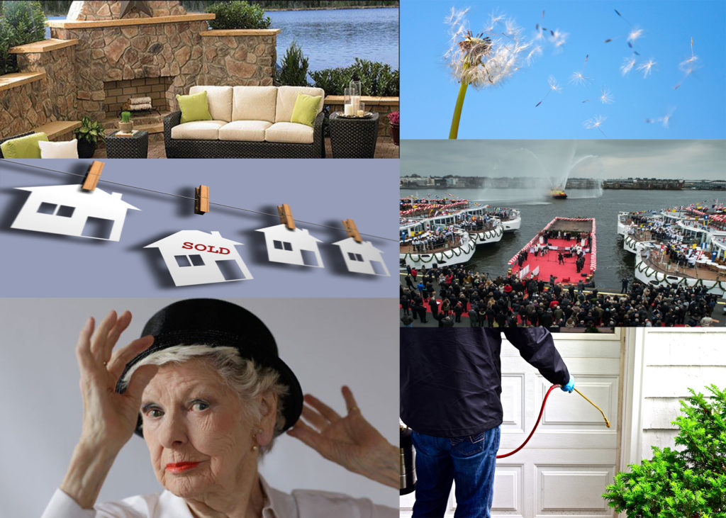 Viking Cruises sets a Guinness World Record & we feature the late Elaine Stritch’s documentary ~ All this and more this week on California Life