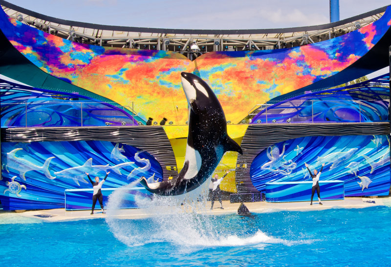 See how SeaWorld is making a splash with brand new attractions and encounters
