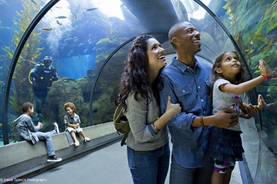 Why you need to take a trip to the California Academy of Sciences!
