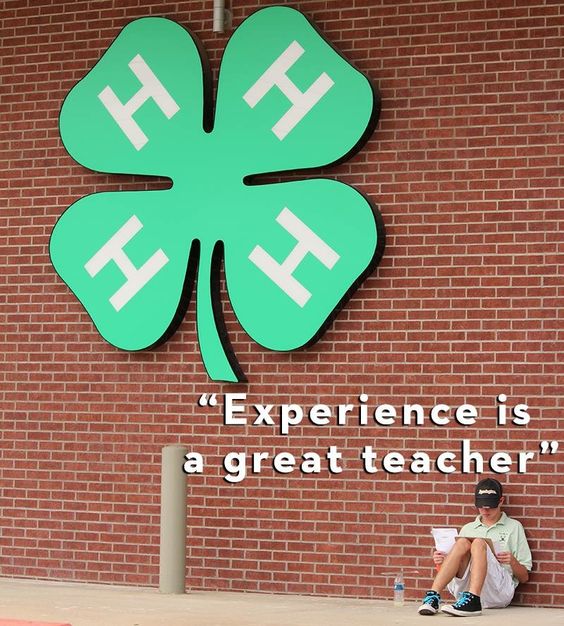 4H Programs Inspire Creativity and Love of Learning