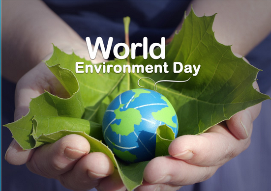 Clean up Your Energy Supply on World Environment Day!