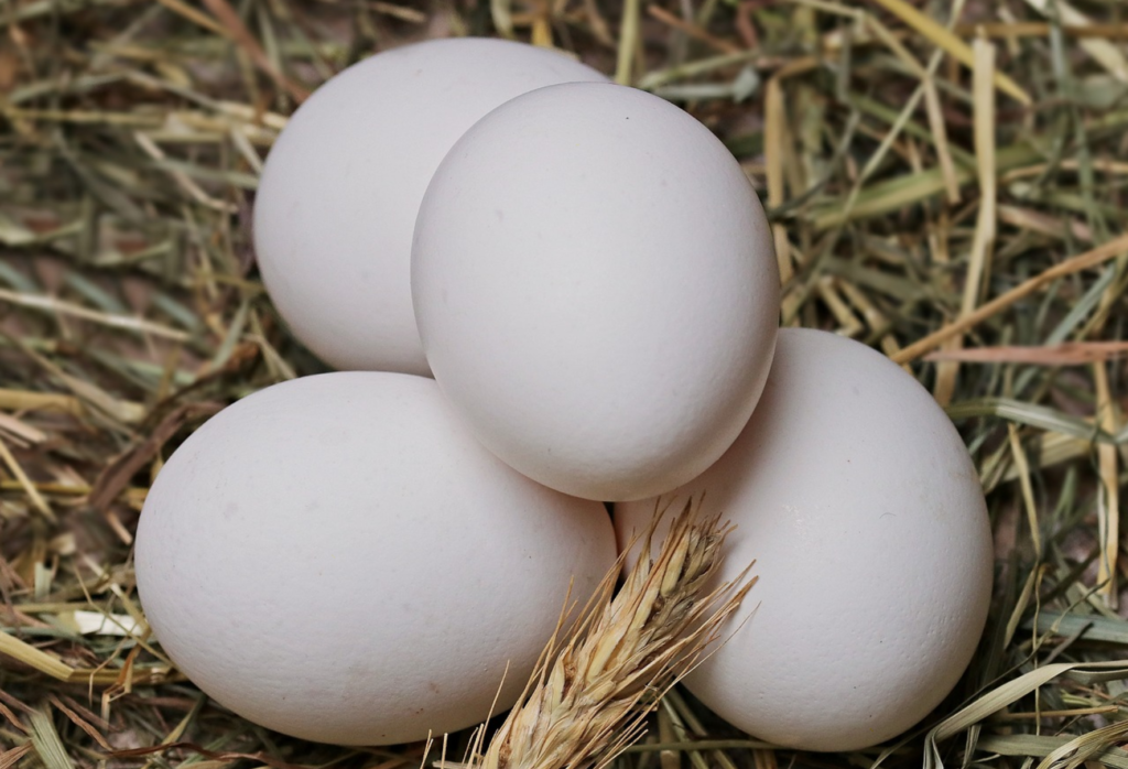 Science is Amazing: Egg-Based Coating to Preserve Fresh Produce