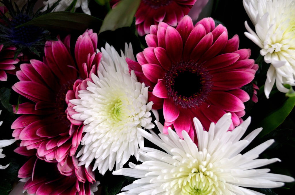 Why Buying Flowers Online Repeatedly Ends Up a Disaster
