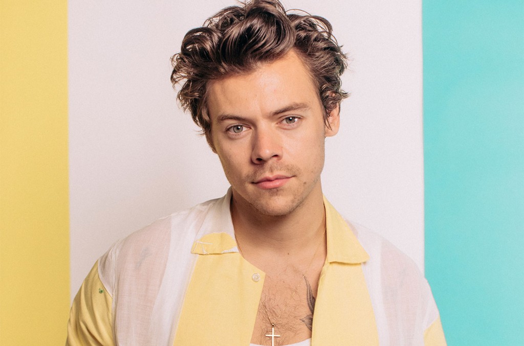 Rock & Roll Hall of Fame Adds Harry Styles Suit