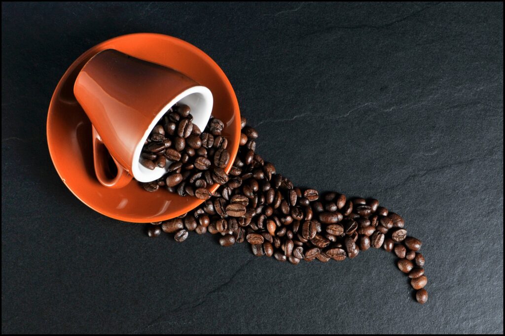 Coffee Beans 101: What Are The Different Types?