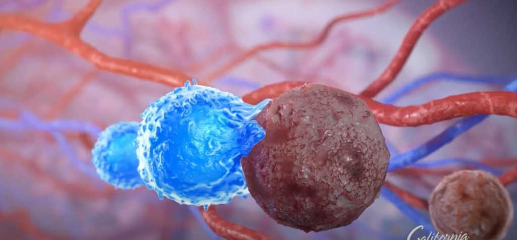 New CAR-T Cell Therapy Could Replace Chemotherapy