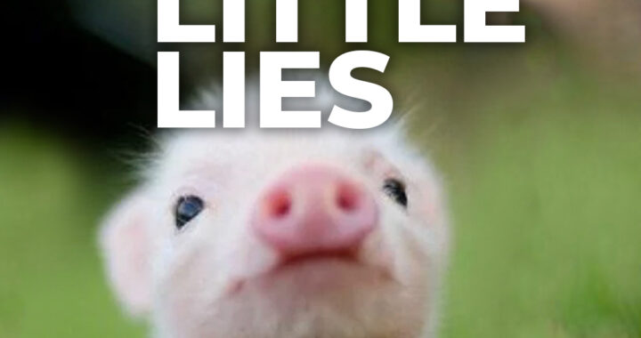 Pig Little Lies: UnchainedTV exposes the truth about pigs